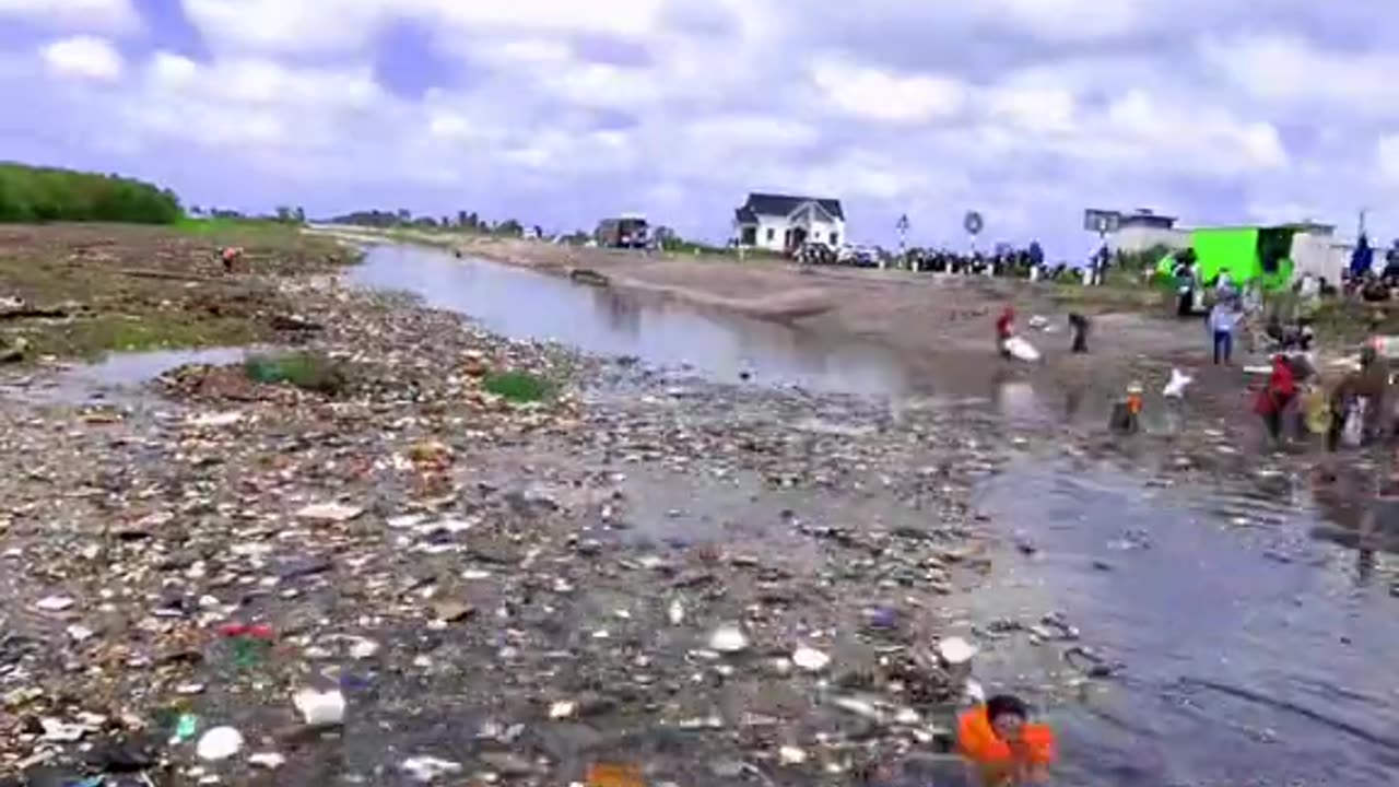 How much does it cost a while now r to get rid for one 🕜