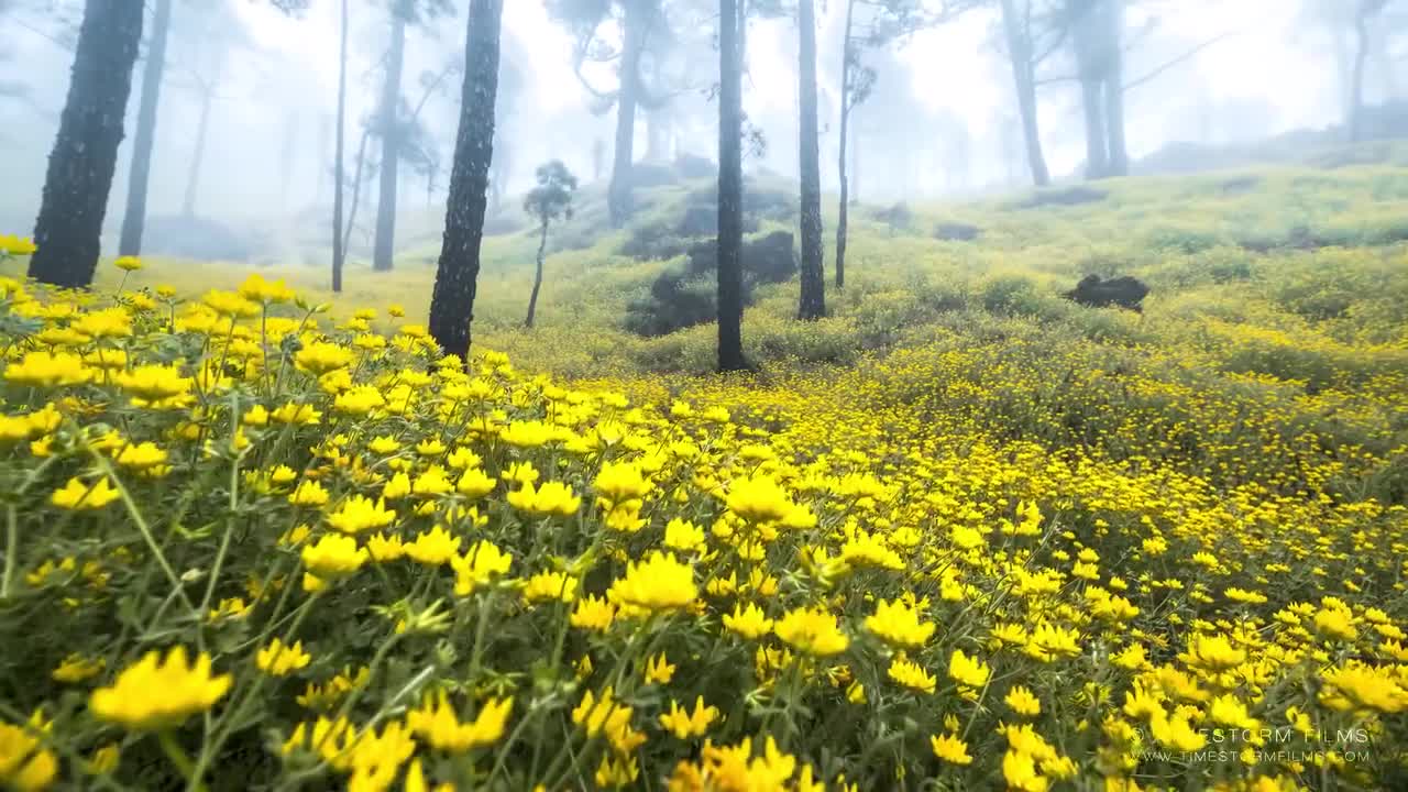 a southern exposure
