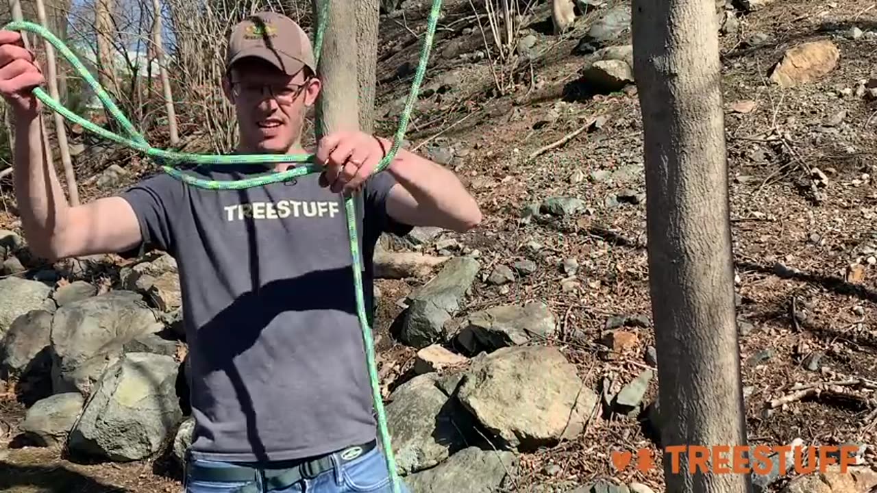Tree Stuff
