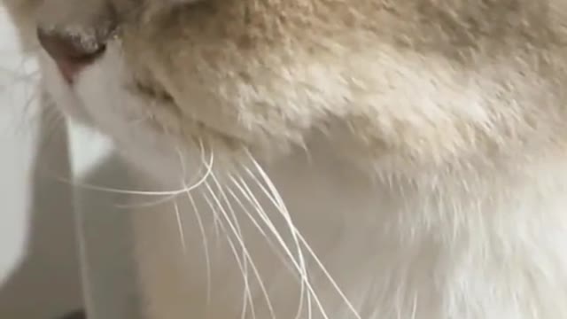 No food,no touch😂😂😂