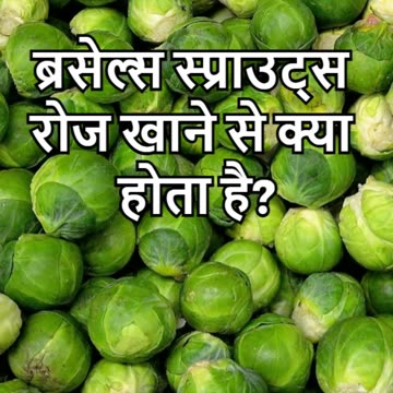 Brasels Spout Kai Fayde