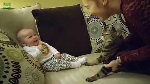 Funny babies injoy cats 🐈