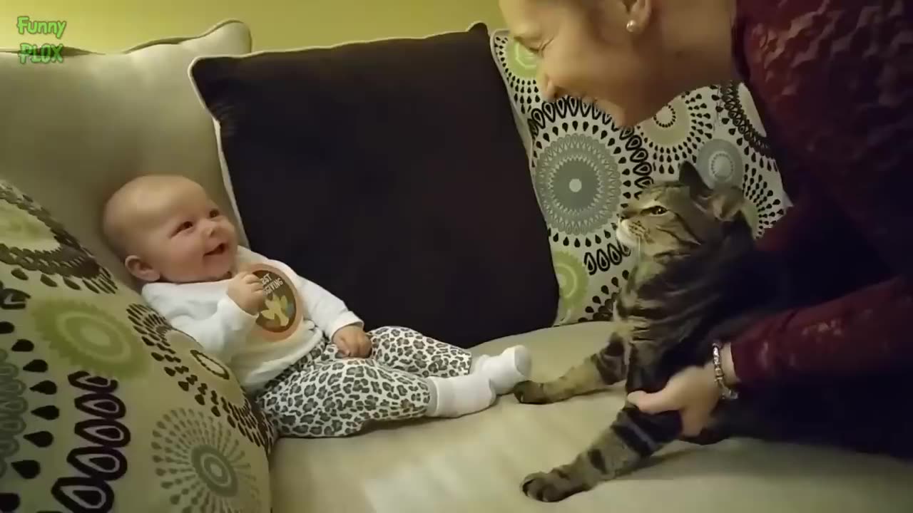 Funny babies injoy cats 🐈