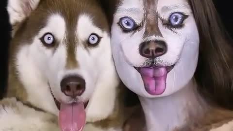 Two dogs with makeup.