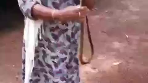 Lady catches snake with bare hands