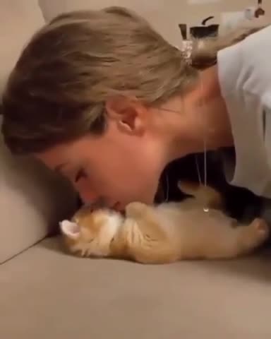 Funny & cute cat / Adorable