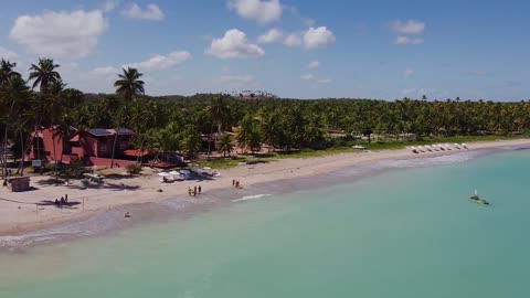 Tropical beach