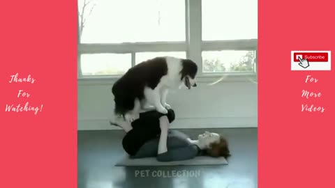 Cute And Funny Pet Videos Compilation #1 ♥ Funny Dog Videos #4