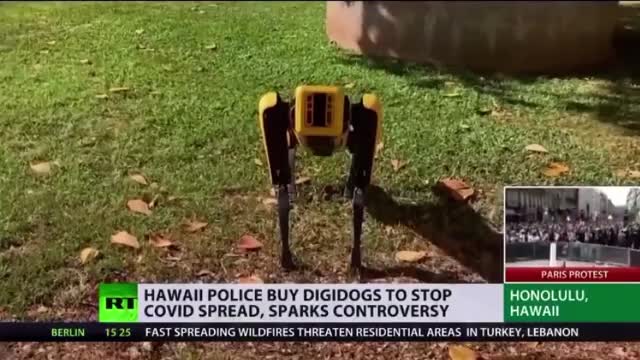 Police to Use Robot Dogs to "Stop Covid Spread"