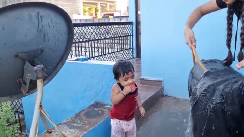 Baby help with dog bath