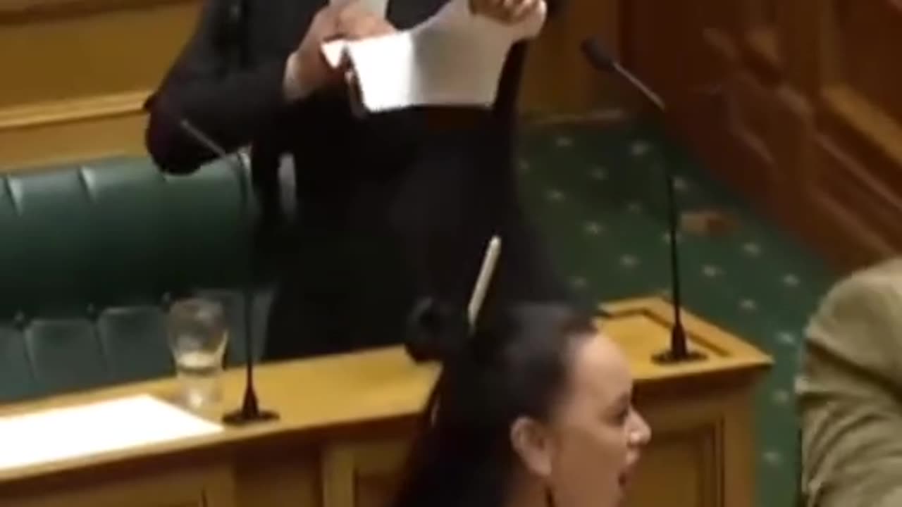 Amazing protest parliament of New Zealand