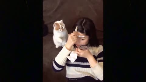 Funny cute cat make you smile