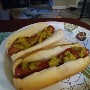 Eating Hebrew National Beef Franks, Dbn, MI, 10/2/23