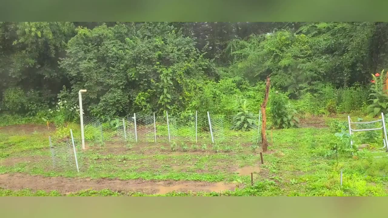 Rain, Finally !