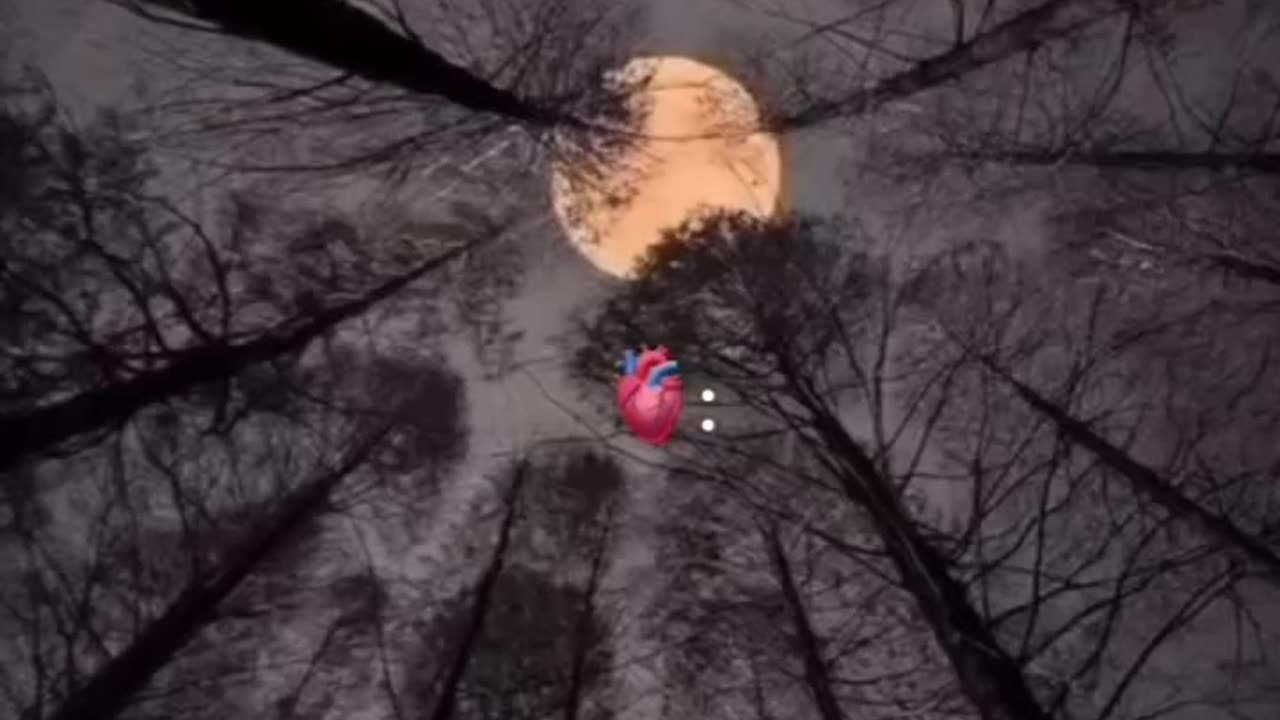 MOON LOVE♥️