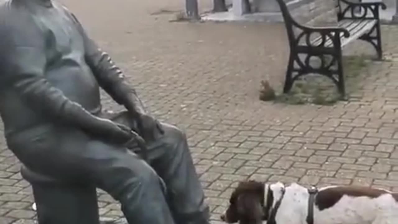 dog tries to play fetch with a statue.