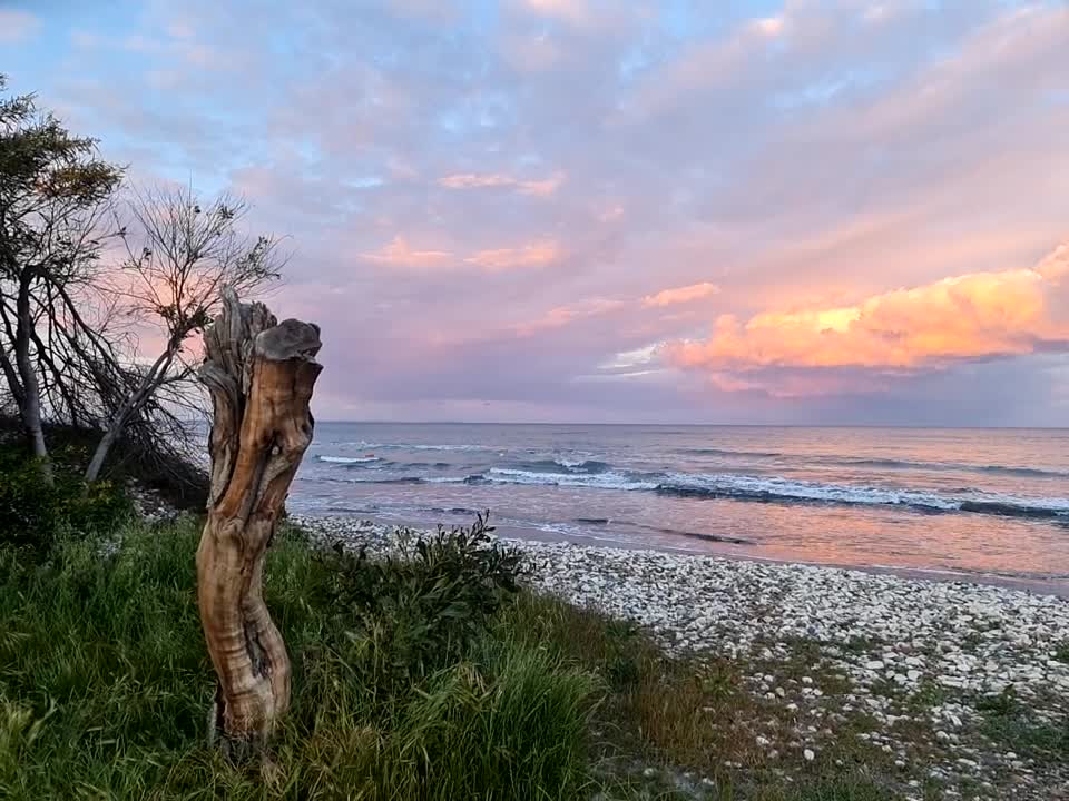 Art of Nature