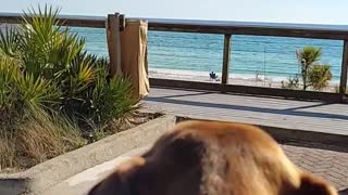 Reiki enjoyed her time Panama City