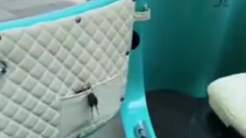 Lampago personal transport