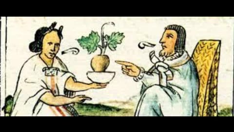 Herbal Medicine & Its History