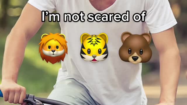 I'm not scared of