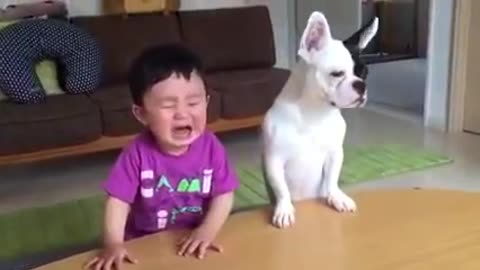 Most funny DOG AND KIDS Videos