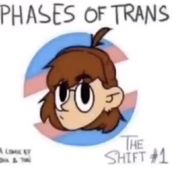 the steps of becoming trans