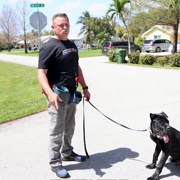 Finishing a Dog Training Session the Right Way