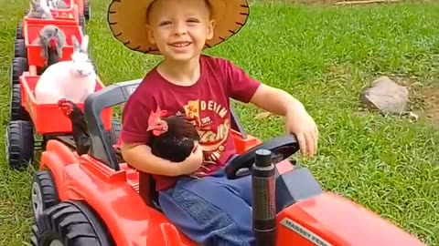 LITTLE BOY TAKES HIS PETS FOR A WALK❤️❤️❤️❤️