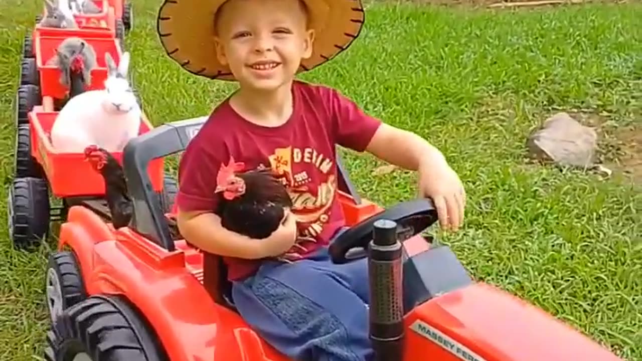 LITTLE BOY TAKES HIS PETS FOR A WALK❤️❤️❤️❤️