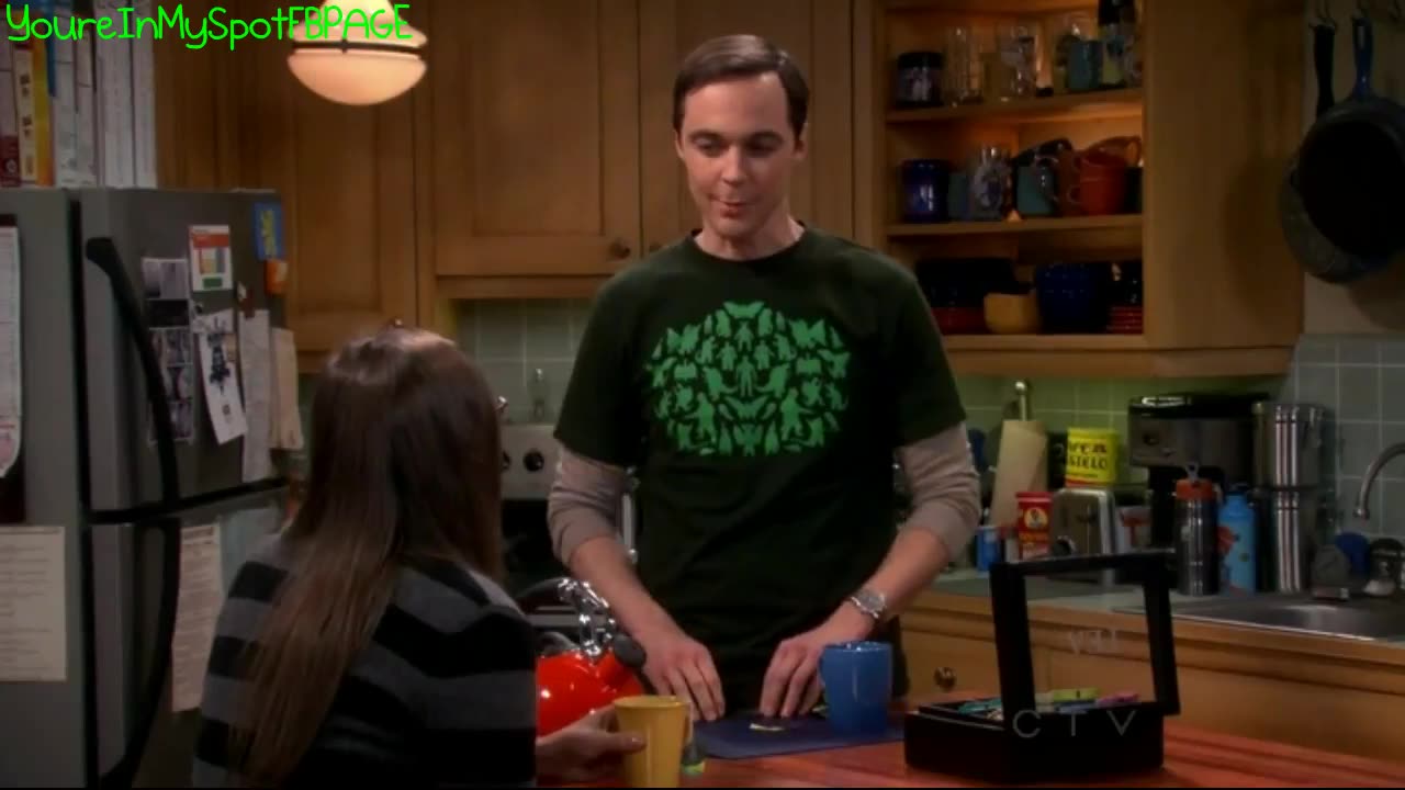 Couples Costumes - The Big Bang Theory