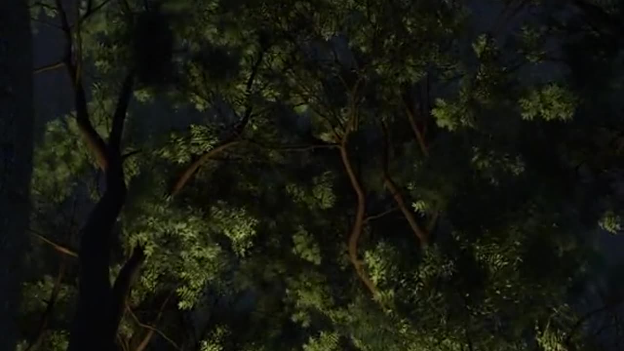 A Stunning View of Trees and Skies