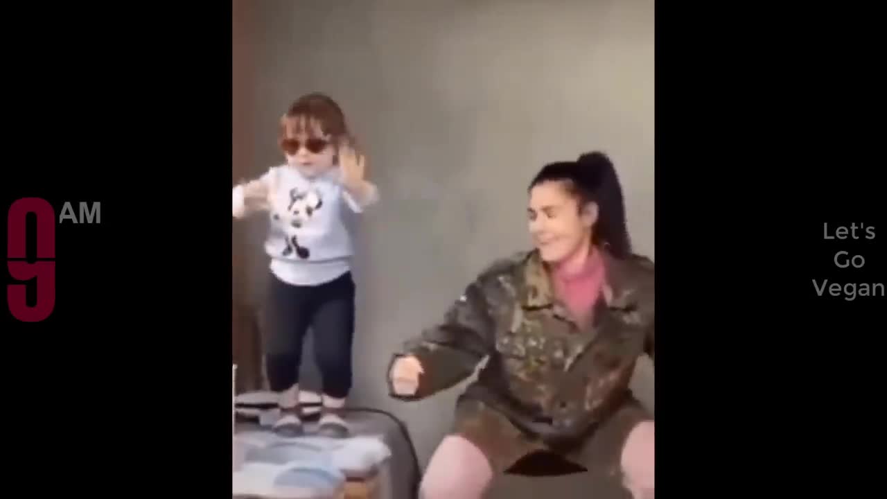 Funny video