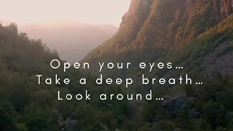 Motivation quots