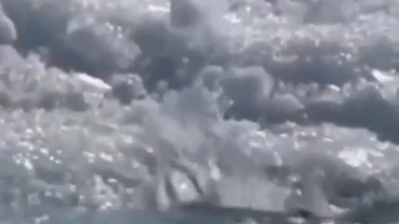 FUNNY ANIMAL VIDEO