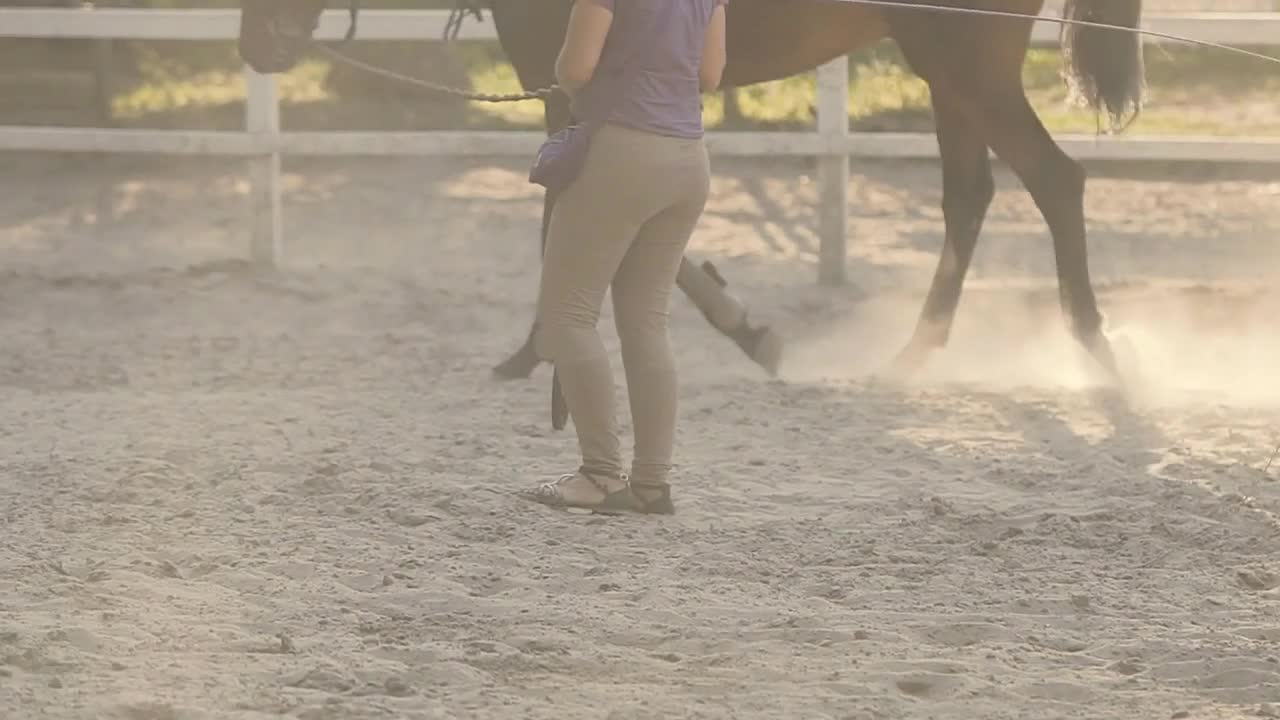 Horse Riding On the Training Ground