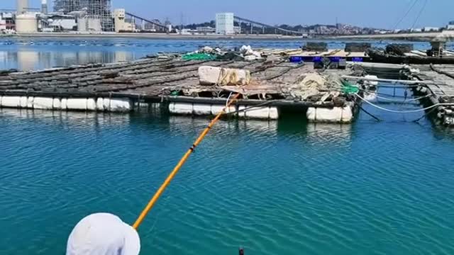 One man, one pole, one river. A fish, a catch, a life