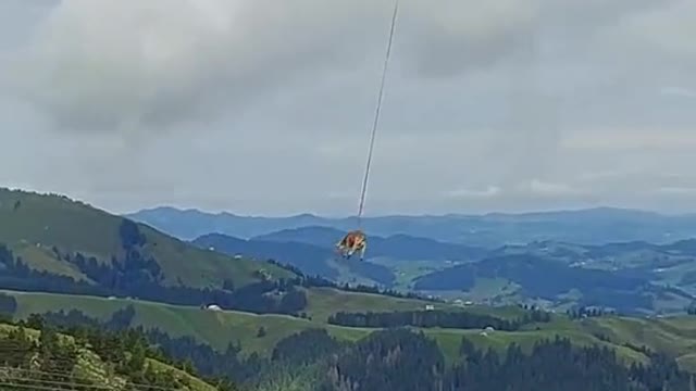 just remembering that time I saw a cow take a trip to the vet in switzerland, from a mountain top.😄