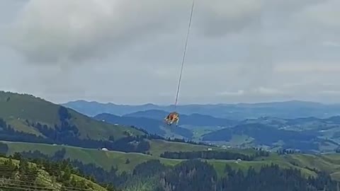 just remembering that time I saw a cow take a trip to the vet in switzerland, from a mountain top.😄