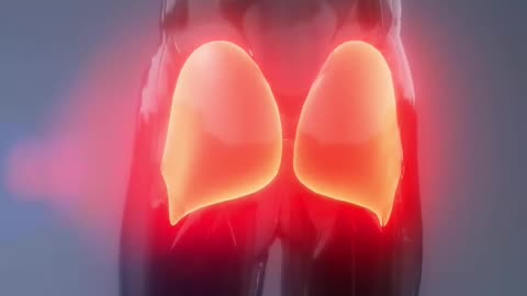 Fascinating Human Body Facts That Will Blow Your Mind!