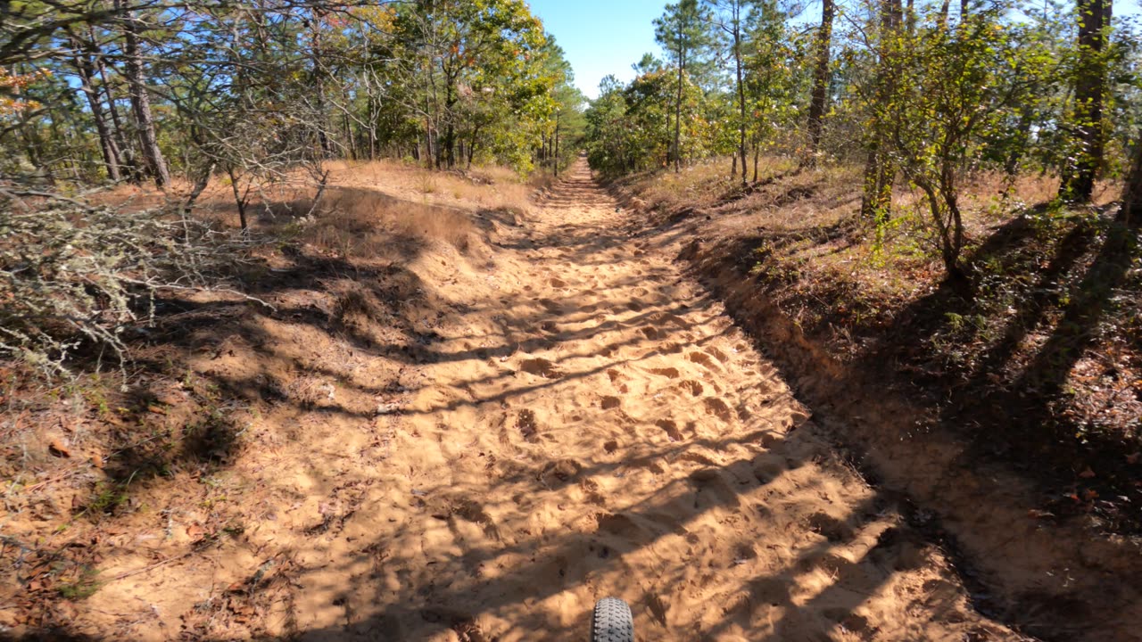 Sandy Downhill