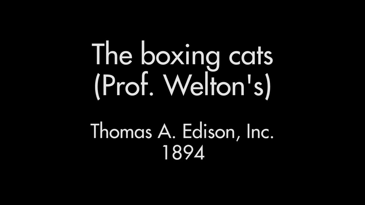 The Boxing Cats (1894 Original Black & White Film)