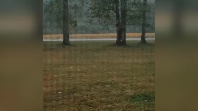Go Away Ian 🌀🌧