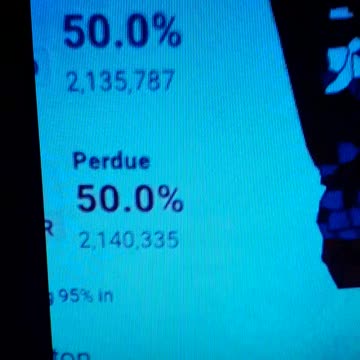INTERNATIONAL WIDE ELECTION FRAUD VOTING MACHINE CRIME, GEORGIA RUNOFF SHAM ELECTION CRIME 156