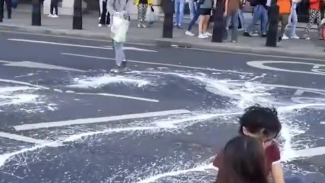 Vegetarians and animal rights activists are plastering the wall of the British Parliament