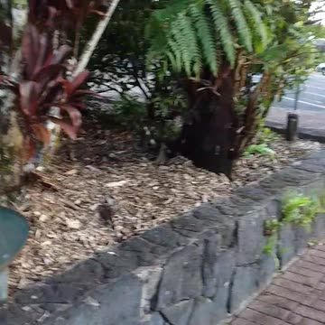 20.11.2023 Rubbishtown