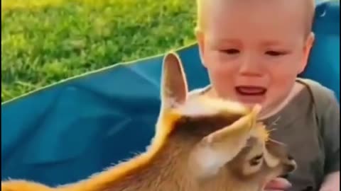Funny Animal sound by baby
