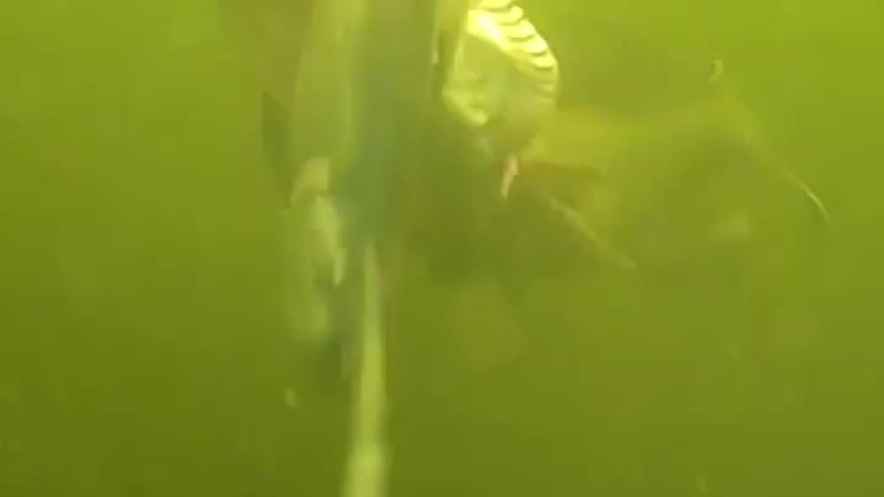 HUGE PIKE 🚨UNDER WATER ATTACK🚨