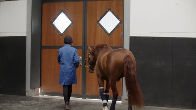 I W*** Horses For a Living