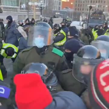 February 18, 2022 lady trampled by horse 🐎 at Ottawa protest